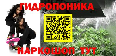 индика Комсомольск-на-Амуре