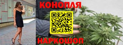 индика Комсомольск-на-Амуре